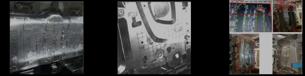 MoldGuardian preventive inspection visual